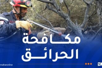 إخماد عدة حرائق عبر هذه الولايات