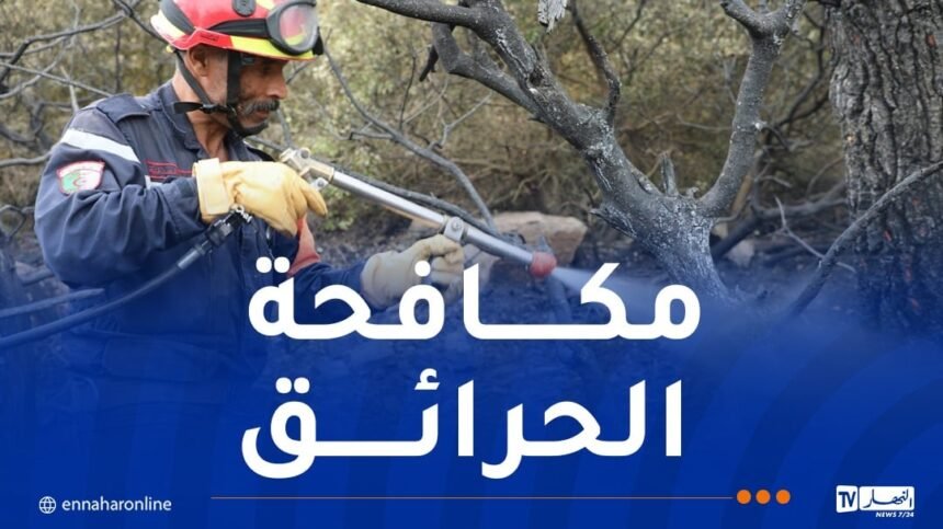 إخماد عدة حرائق عبر هذه الولايات