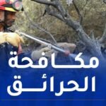 إخماد عدة حرائق في هذه ولايات