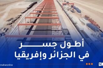 إستلام مشروع السكة الحديدية “بشار-تندوف” في أكتوبر المقبل