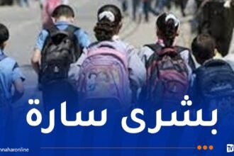 إعادة النظر في برامج السنة الثالثة ومنهاج جديد للغة الانجليزية..هذا جديد الدخول المدرسي القادم