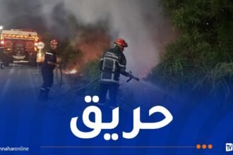 إندلاع حريق في ولاية جيجل