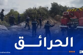 إندلاع عدة حرائق اليوم في هذه الولايات