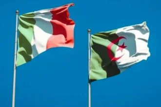 إيطاليا تطمح إلى فتح مركّب كبير وهام في سيدي بلعباس