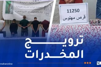 البليدة.. توقيف 6 أشخاص وحجز أزيد من 11 ألف قرص مهلوس