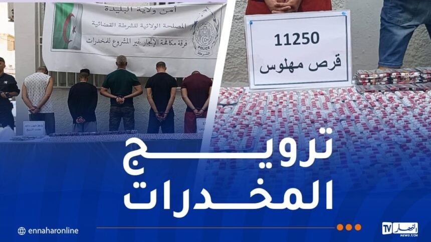 البليدة.. توقيف 6 أشخاص وحجز أزيد من 11 ألف قرص مهلوس