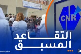 التقاعد المسبق في التربية.. للمتواجدين حاليا في حالة خدمة فقط