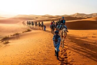 الجزائر تستقبل 3 ملايين سائح.. والسياحة الصحراوية الوجهة المفضلة