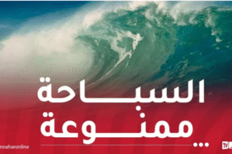 الحيطة والحذر.. بحر هائج وأمواج تتعدى 2 متر عبر هذه السواحل!