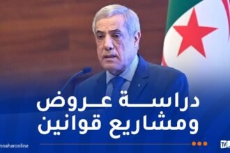 الدخول الجامعي وظروف حركة التنقل الجوي والبحري.. العرباوي يترأس اجتماعًا للحكومة