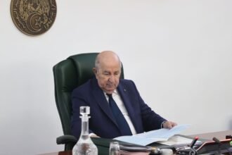 الرئيس تبون يأمر برفع اليقظة وتسخير الإمكانيات لمجابهة حرائق الصيف