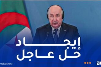 الرئيس تبون: يجب أن يتحمل المجتمع الدولي مسؤوليته لوقف الإبادة ضد الفلسطينيين