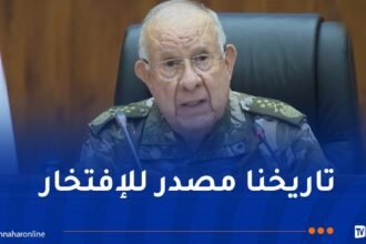 الفريق أول شنقريحة: الجزائر التي أفشلت مخطط ضرب الجمهورية بالإرهاب ستبقى منتصرة على كل من يعاديها