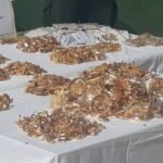 القضاء يباشر في محاكمة متهمين بتهريب الذهب باستعمال سجلات صورية