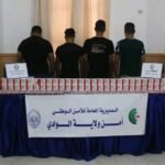 الوادي: ضبط أزيد من 52 ألف قرص “بريغابالين”