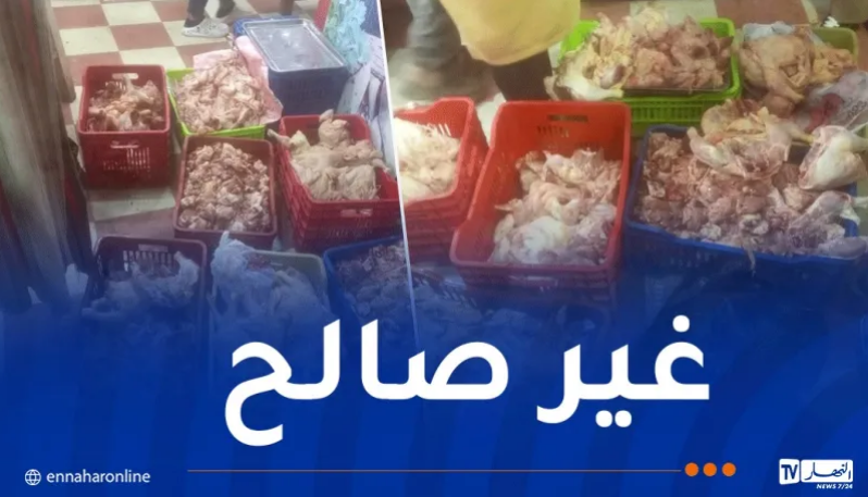 بجاية: حجز قرابة 11 قنطار من الدجاج الفاسد موجّه للإستهلاك