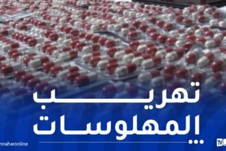بشار.. توقيف 4 أشخاص وحجز 1992 قرص مهلوس