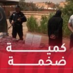 بشار: شل نشاط شبكة إجرامية وضبط 336 ألف كبسولة مهلوسات!