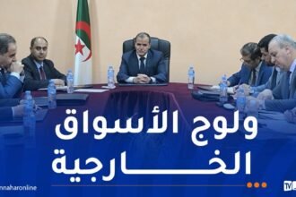 بعد تسجيل فائض.. مراجعة قائمة المنتجات الفلاحية والغذائية المجمّدة لتصديرها
