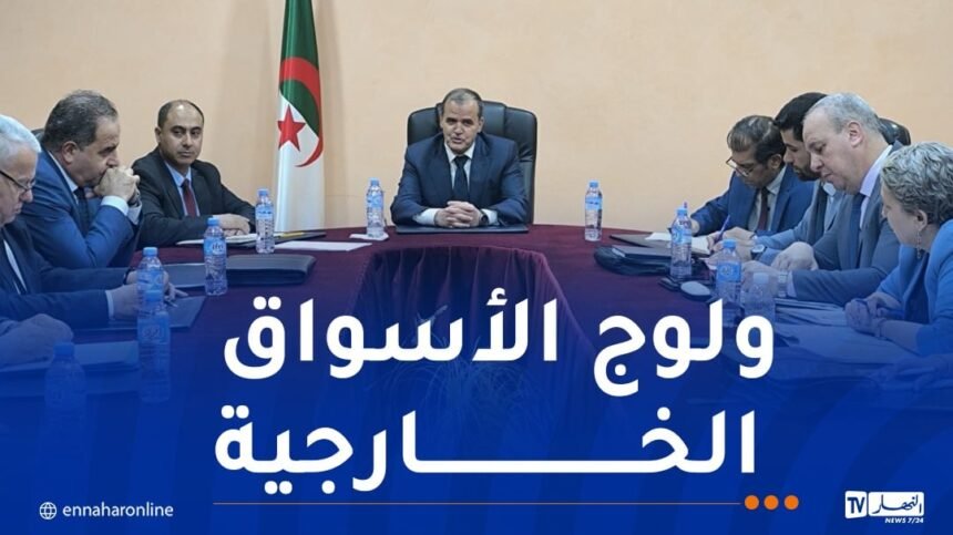 بعد تسجيل فائض.. مراجعة قائمة المنتجات الفلاحية والغذائية المجمّدة لتصديرها