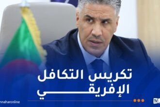 بلعريبي: الجزائر راهنت على البنى التحتية عبر إطلاق مشاريع إستراتيجية كبرى