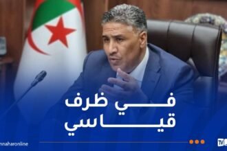 بلعريبي: تحولت الجزائر من بلد مستورد لمواد البناء إلى بلد مُنتج ومصدّر لها