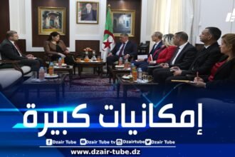 بلعريبي يتناول مع سلمى حداد سبل تعزيز التعاون في قطاع مواد البناء مع الاتحاد الإفريقي