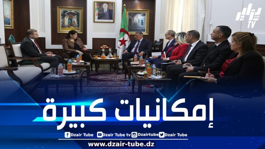 بلعريبي يتناول مع سلمى حداد سبل تعزيز التعاون في قطاع مواد البناء مع الاتحاد الإفريقي