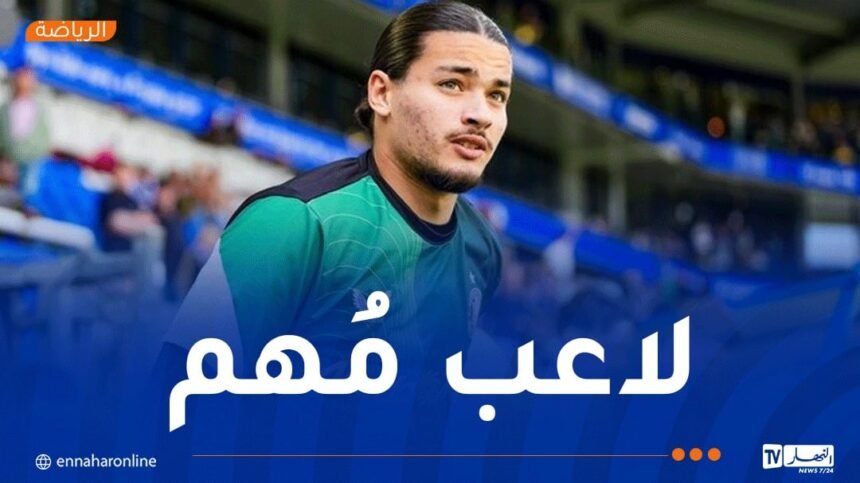 بنفيكا يُصر على أنيس حاج موسى