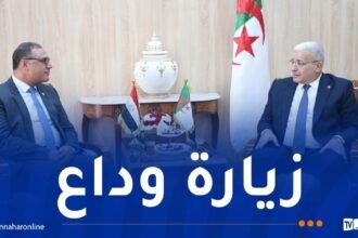 بوغالي يؤكد على تعزيز التعاون البرلماني بين الجزائر ومصر
