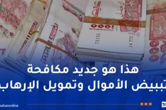 تحقيقات مالية موازية حول قضايا تبييض الأموال.. و2 مليار غرامة لكل من يتعمد عدم التبليغ عن الفساد