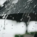 تساقط الأمطار على هذه الولايات 