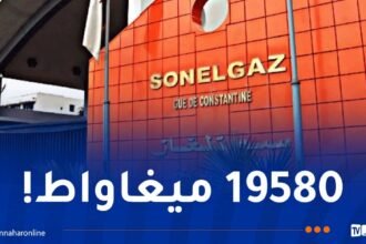 تسجيل ذروة قياسية في الطلب على الكهرباء اليوم