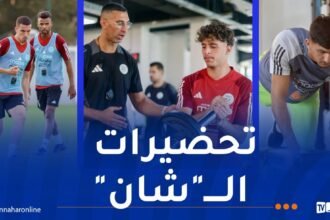 تعداد المنتخب المحلي يرتفع وبوقرة يضاعف وتيرة العمل