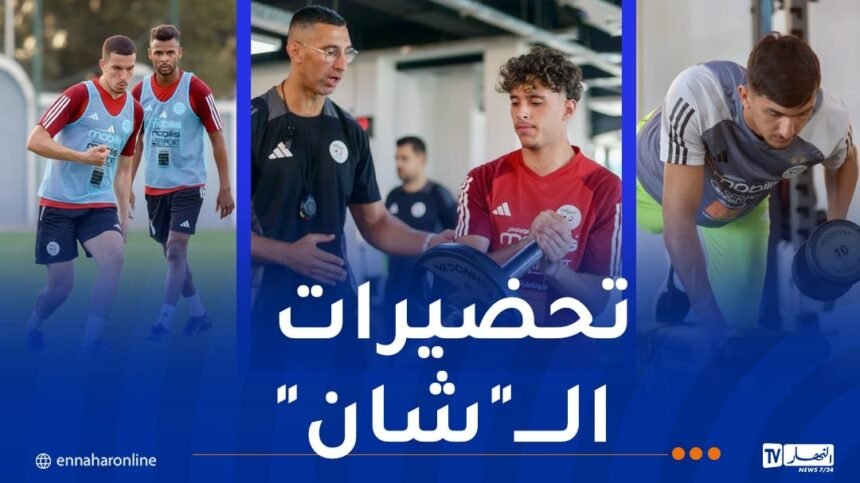 تعداد المنتخب المحلي يرتفع وبوقرة يضاعف وتيرة العمل