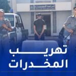تلمسان.. حجز 1601 قرص من نوع “بريغابالين”