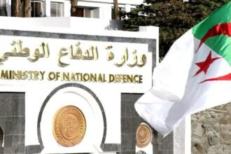 توقيف 43 تاجر مخدرات.. وإحباط إدخال هذه الكمية من الكيف المعالج