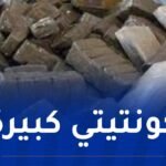توقيف أكثر من 1100 تاجر مخدرات وإحباط محاولات ادحال 17.12 طن من الكيف المعالج