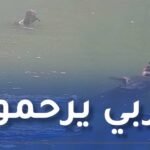جيجل.. إنتشال جثة غريق من سد إيراقن