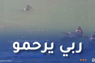 جيجل.. إنتشال جثة غريق من سد إيراقن