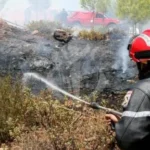 حرائق الغابات: الحماية المدنية تتدخل عبر 4 ولايات 