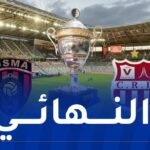 حصة متساوية بين بلوزداد والاتحاد.. بيع تذاكر النهائي يبدأ الكترونيًا غدًا!