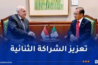 رئيس البرلمان السنغافوري يستقبل أحمد عطاف