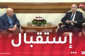 رئيس الجمهورية يستقبل الروائي الكبير رشيد بوجدرة