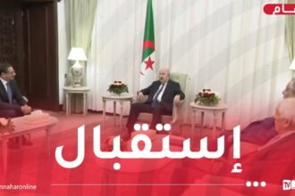 رئيس الجمهورية يستقبل السفير التونسي