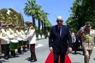 رئيس الجمهورية يشرف رفقة الفريق أول شنقريحة على تفتيش مربعات التشكيلات العسكرية
