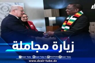 رئيسا مجلس الأمة والمجلس الشعبي الوطني يؤديان زيارة مجاملة للرئيس الزمبابوي بمقر إقامته بزرالدة