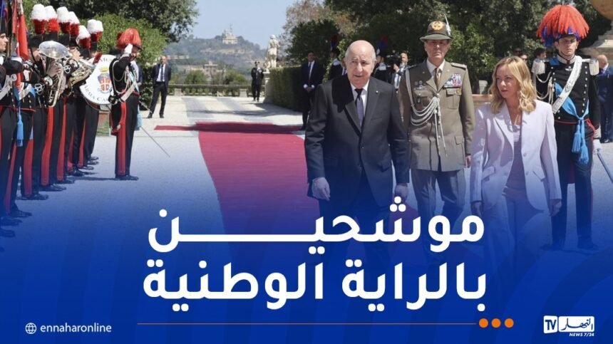 رددوا عبارات “تحيا عمي تبون”و”تحيا الجزائر المنتصرة”..أفراد الجالية الجزائرية يصنعون الحدث بإيطاليا