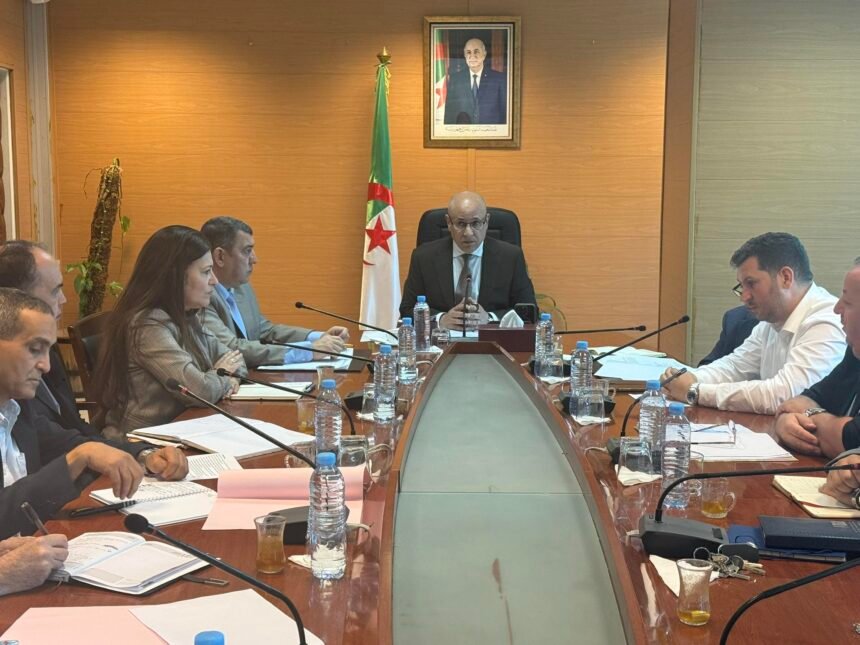 زيتوني يتابع تقدم إنجاز البرجين التجاريين ويأمر بتسريع الأشغال