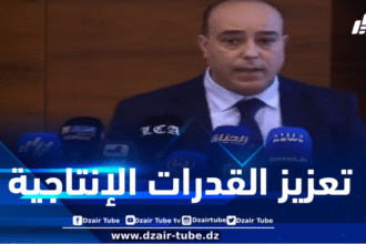 سعيدي: نعمل على تعزيز قدراتنا الإنتاجية لولوج السوق العالمية بمنتجات عالية الجودة